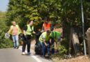 Zyra për të Rinjë, s’bashku me ndërrmarrjen “N.P. Moravica”, sot organizuan një aksion pastrimi përgjatë rrugës Preshevë – Gjilan