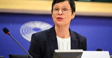 Kos: S’ka vendim formal, por Serbia s’ka marrë para nga Plani i Rritjes që nga miratimi i ligjeve për drejtësinë